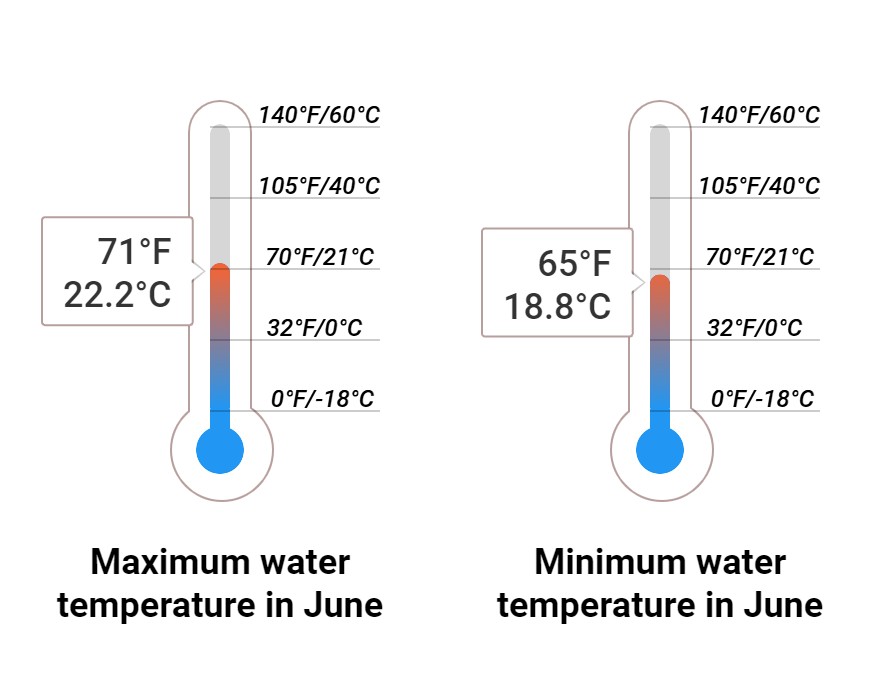 Average Sea temperature